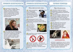 Памятка об обморожениях