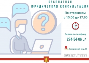 Юридические консультации по вопросам местного значения и вопросам опеки и попечительства