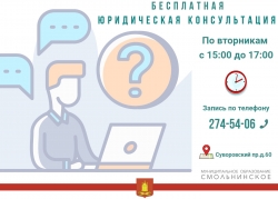 Юридические консультации по вопросам местного значения и вопросам опеки и попечительства