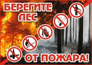 Отдыхая на природе, будьте осторожны с огнем!