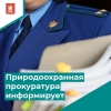 Простые правила законной рубки зеленых насаждений