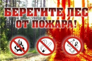 Ответственность за нарушение правил пожарной безопасности в лесу.