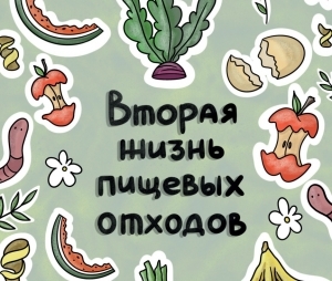 Вторая жизнь пищевых отходов