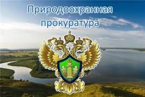 Люминесцентные лампы и аккумуляторы &ndash;  отходы, которым не место на общей контейнерной площадке.