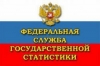 &laquo;Росстат перепишет малый и средний бизнес&raquo;
