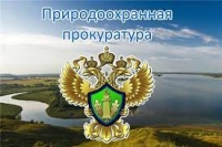Природоохранная прокуратура г. Санкт-Петербурга информирует