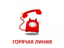 "Горячая линия" по вопросам уборки дворов