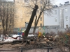 Дневник благоустройства - аварийное дерево спилино