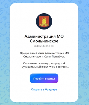 МО Смольнинское &mdash; теперь в MAX!