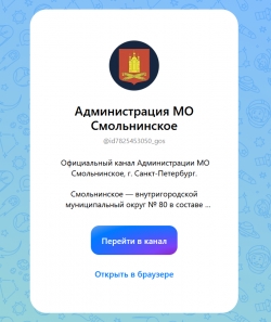 МО Смольнинское &mdash; теперь в MAX!